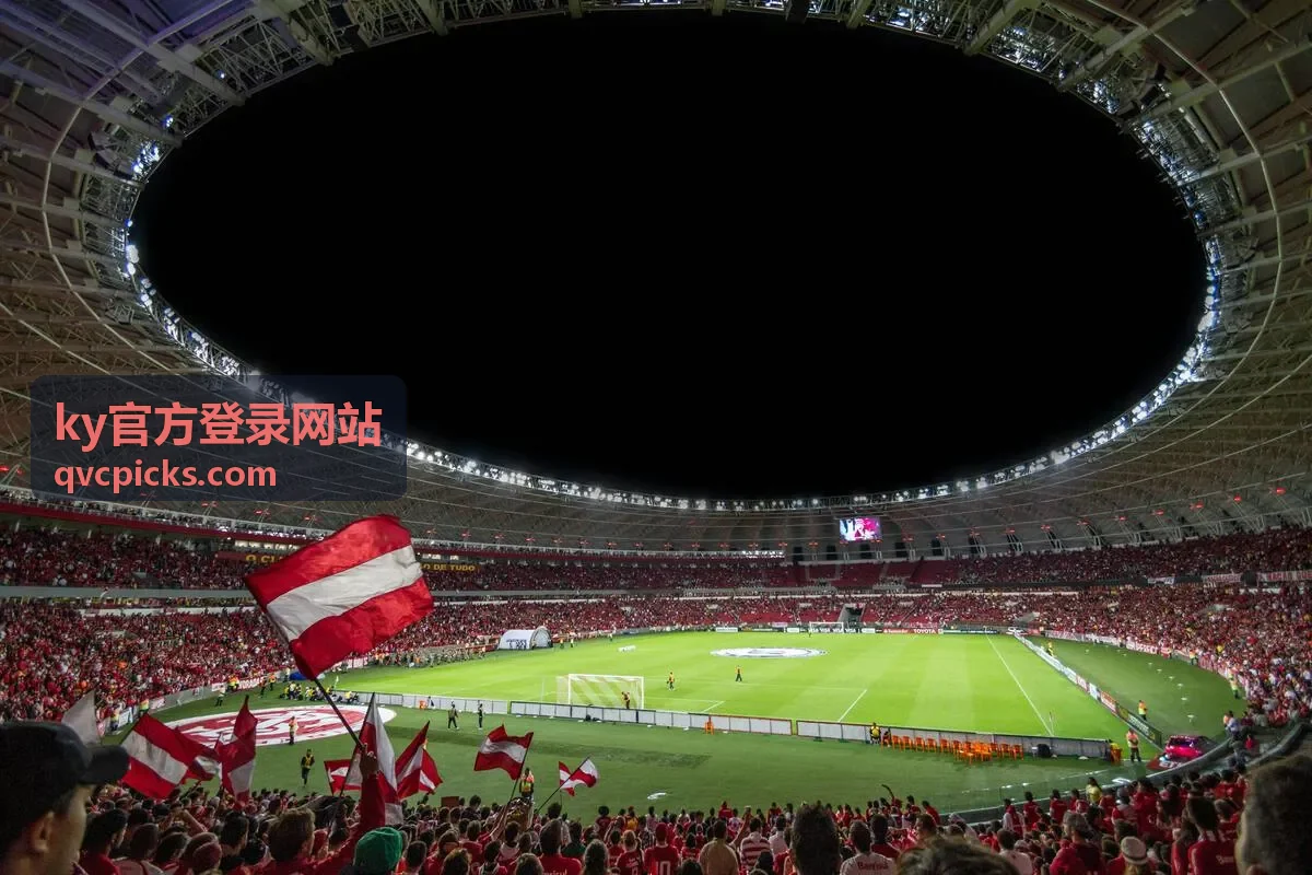 ky官方登录网站登录界面填写示意