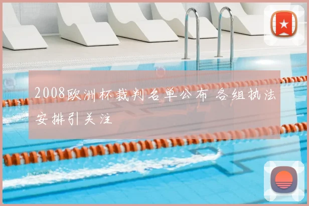 2008欧洲杯裁判名单公布 各组执法安排引关注