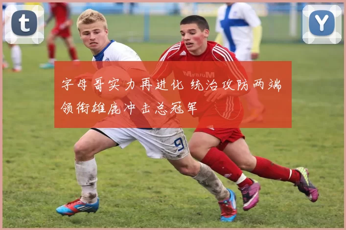 字母哥实力再进化 统治攻防两端 领衔雄鹿冲击总冠军