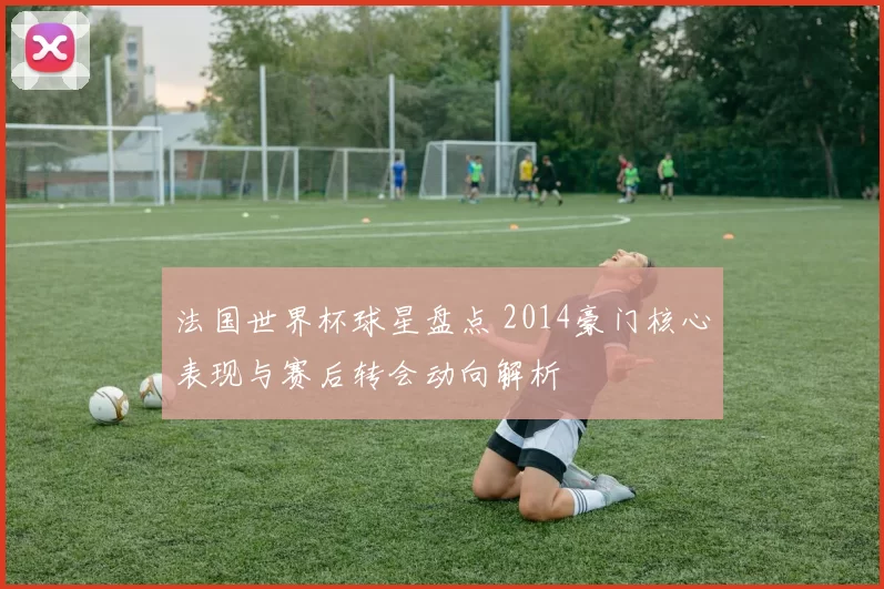 法国世界杯球星盘点 2014豪门核心表现与赛后转会动向解析