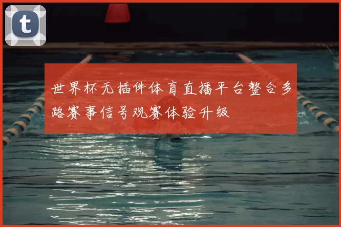 世界杯无插件体育直播平台整合多路赛事信号观赛体验升级