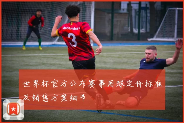 世界杯官方公布赛事用球定价标准及销售方案细节