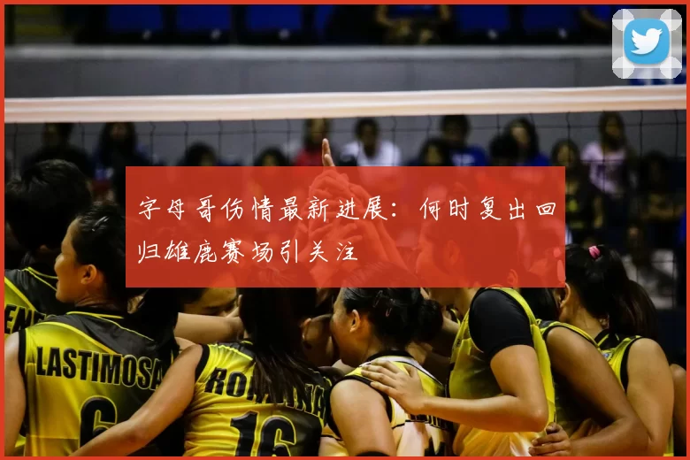 字母哥伤情最新进展：何时复出回归雄鹿赛场引关注