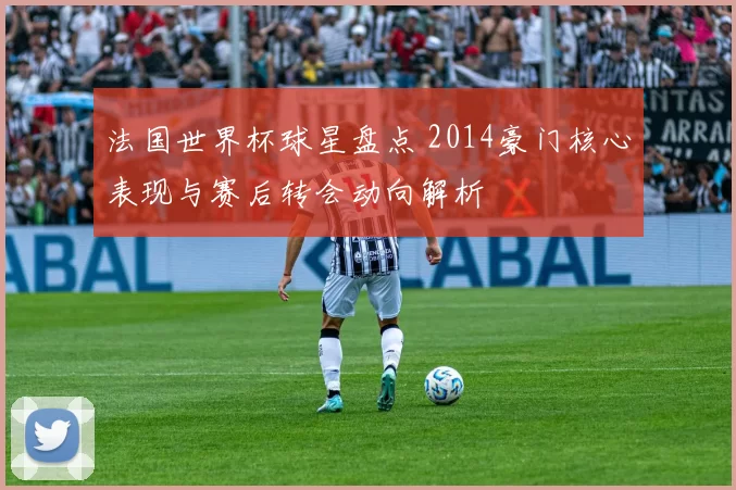 法国世界杯球星盘点 2014豪门核心表现与赛后转会动向解析